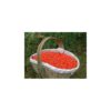 Baies de goji de l'Himalaya Premium Grade 5 Kg Baies de goji de l'Himalaya Premium Grade 5 Kg