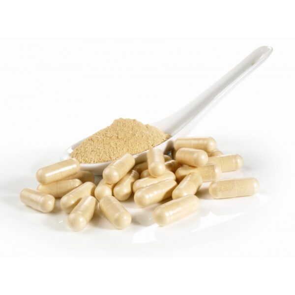 Psyllium Biologique en gélules de 500mg* 90 gélules Psyllium Biologique en gélules de 500mg* 90 gélules